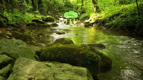 Carbon dioxide icon animation on a beautiful forest river Stock Footage 340588304