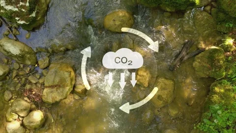 Carbon dioxide icon animation on sunny forest river background Stock Footage 338406418