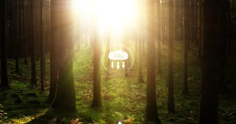 Carbon dioxide icon inside sunny magic forest Stock Footage 338110339
