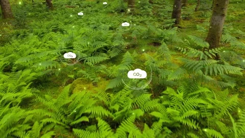 Carbon dioxide icons inside green forest landscape Stock Footage 337240451