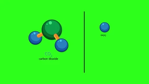 Carbon Dioxide Molecule Structure and Atomic Breakdown Animation Video stock 320935163