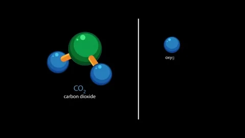 Carbon Dioxide Molecule Structure and Atomic Breakdown Animation Stock Footage 324431650