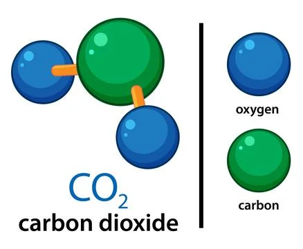 Carbon Dioxide Molecule Structure with Labeled Atoms Illustration Stock Illustration