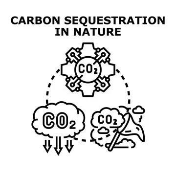 Carbon dioxide sequestration process in natural environment Stock Illustration