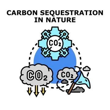 Carbon dioxide sequestration process in natural environment Stock-Illustration
