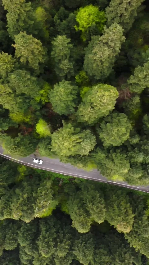 Carbon emissions 스톡 동영상 243695283