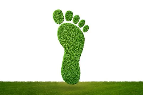 Carbon footprint concept - 3d rendering Stock-Illustration