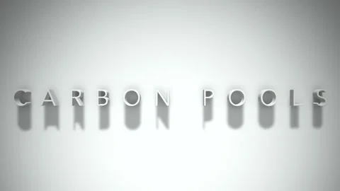 Carbon pools 3D title animation with shadows on a white background Stock Footage 297856968
