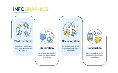 Carbon processing cycle rectangle infographic vector Illustrazione stock