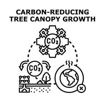 Carbon reducing tree canopy growth concept vector Stock Illustration