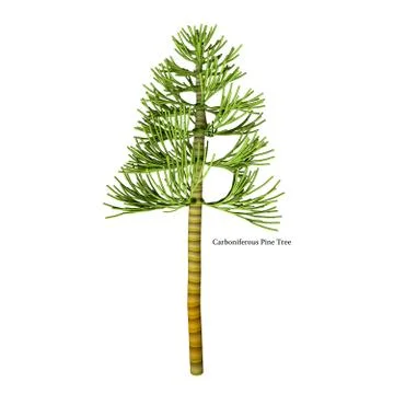 Carboniferous Pine Tree Stock Illustration