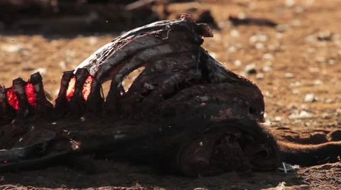 Carcass with flies buzzing, sun shines through ribs, pan from right, MCU, Lat Stock Footage 44833734