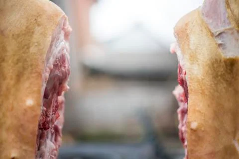 The carcass of a pig is split in half, hangs on a hook, place for text Fotos Stock