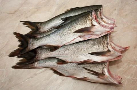 Carcass silver carp Stock Photos