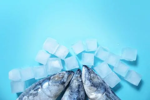 Carcasses of raw mackerel on ice on a light blue background with ice cubes To Stock Photos