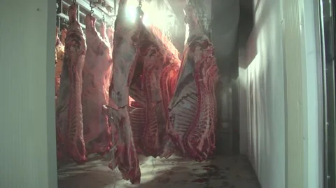 Carcasses in the refrigeration compartment.mp4 Stock Footage 48941223