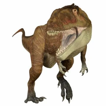 Carcharodontosaurus Carnivore Stock Illustration