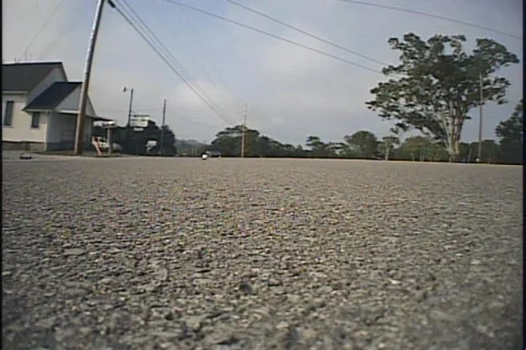 Carchase Video stock 279554