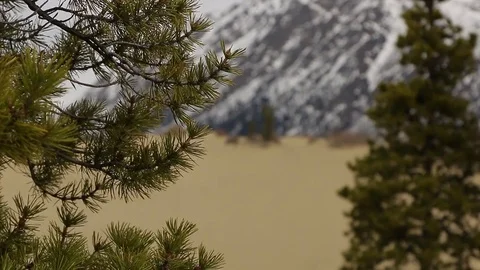 Carcross Desert Stock Footage 79015198