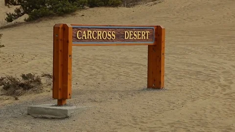 Carcross Desert Sign Video stock 79015155