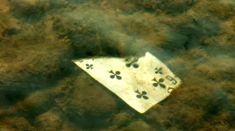 Card 6t Stock Footage 8851406