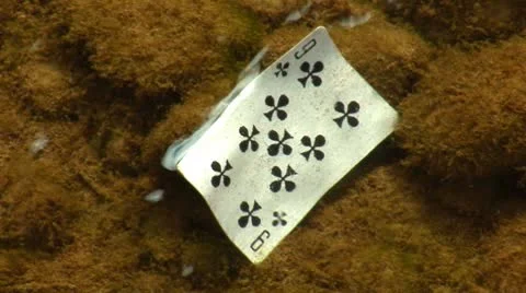 Card 9t Stock Footage 8849804