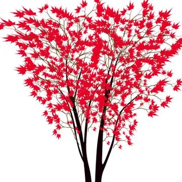Card with autumn maple tree. Red maple trees in the middle. Japanese red mapl Stock Illustration