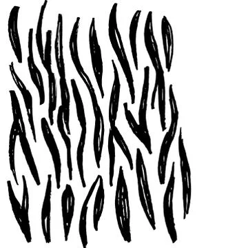 Card banner design pattern black isolated on white tiger fur, abstract simple Illustrazione stock