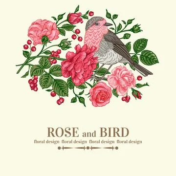 Card with bird, roses. Illustrazione stock