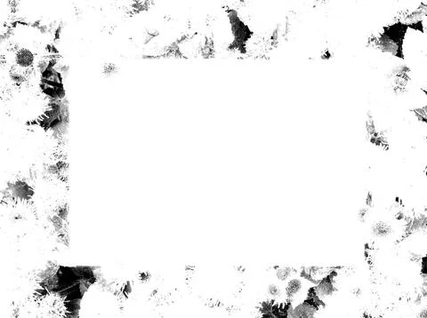 Card blank 스톡 일러스트