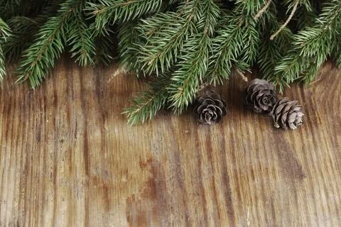 Card branch background cone snowflake Stock Photos