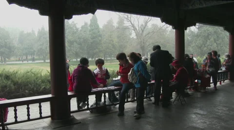 Card game in Beijing Park Stock Footage 44752801