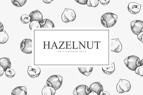 Card with hazelnuts. Vector illustration background with hand drawn sketch. Stock Illustration