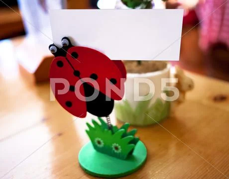 Card holder Stock Photos