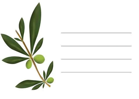 Card with olive tree vector and empty lines to write 스톡 일러스트