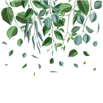 Card or background with branches and green leaves. Spring or summer stylized Stock Illustration