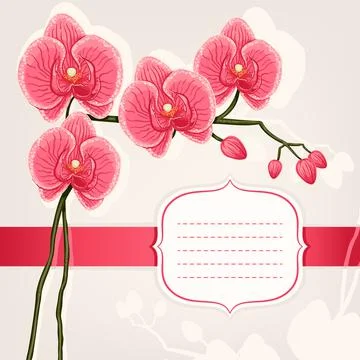 Card with pink orchids Stock Illustration