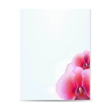 Card with pink orcids Stock Illustration