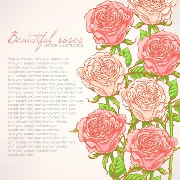 Card with pink roses Ilustración de archivo