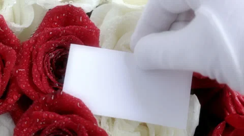Card on roses Stock Footage 24807195