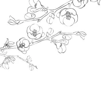 Card spring is coming - cover. Stock-Illustration
