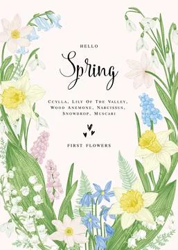 Card with spring flowers. Illustrazione stock
