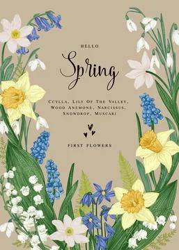 Card with spring flowers. Stock Illustration
