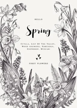 Card with spring flowers. Stock Illustration