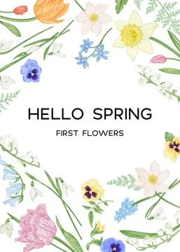 Card with spring flowers. Illustrazione stock