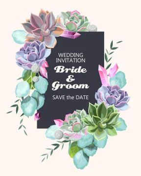 Card with succulents Stock Illustration