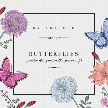 Card with two butterflies. Illustrazione stock