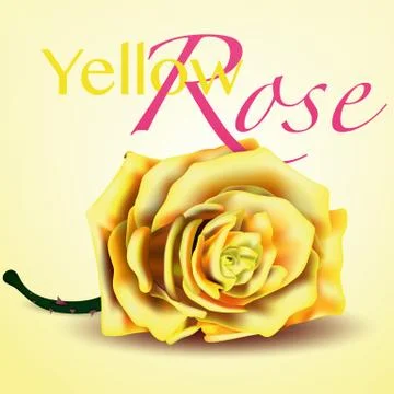 Card with Yellow Vector Rose on Background Stock Illustration