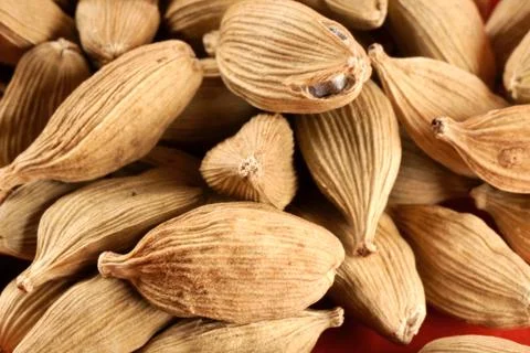 Cardamom background Stock Photos