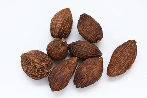 Cardamom isolate on white background Fotos Stock